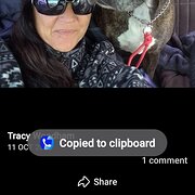 House Sitter - "Just us"