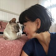 House Sitter - Responsible mature RN nurse sitter 