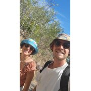 House Sitter - House Sitter, reliable couple