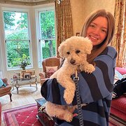 House Sitter - Animal Lover Happy to Help!