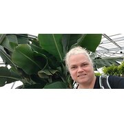 House Sitter - Single lady on road trips