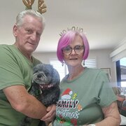 House Sitter - Our Time to Sit