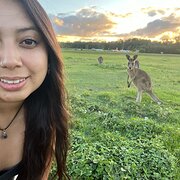 House Sitter -  Milena: Your Pet's Fun Companion