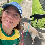 House Sitter - Mad about wildlife 