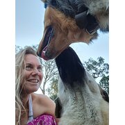 House Sitter - Warm and caring