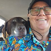House Sitter - Mature Hooma and Lab.