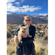 House Sitter - Experienced Honest House-sitter