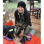 House Sitter - Here to help!