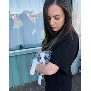 House Sitter - Nomadic but neat