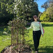 House Sitter - Kokoda