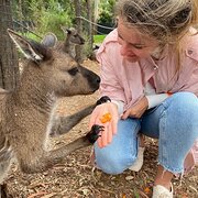 House Sitter - Like family for your pets! 