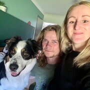 House Sitter - Mature, Reliable Couple | House & Pet Ca