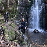 House Sitter - Quiet artist from Tasmania 