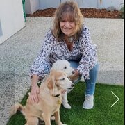 House Sitter - Friendly Professional Housesitter 