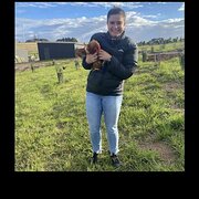 House Sitter - Enthusiastic, caring and professional