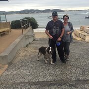 House Sitter - Reliable Couple