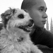 House Sitter - Lee Tran