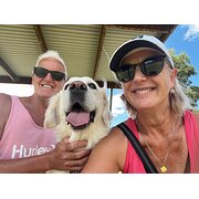 House Sitter - For the love of dogs