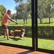 House Sitter - Mr Fixit - Aid