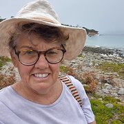 House Sitter - Quiet, clean, trustworthy, experienced