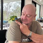 House Sitter - Experienced Home Minders