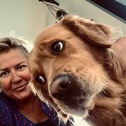 House Sitter - KYLIE