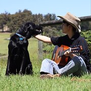 House Sitter - Noah&Yan