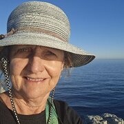 House Sitter - Retired and Reliable