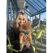 House Sitter - EXPERIENCED Sitter Cats & Small Dogs