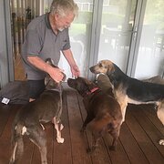 House Sitter - Happy Campers