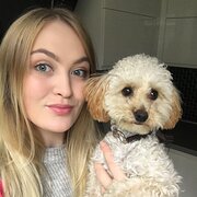 House Sitter - Responsible Animal Carer & House Sitter