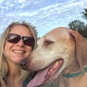 House Sitter - Wendy - mature, professional, trustworth