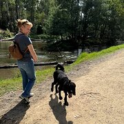 House Sitter - Addicted dogs cats horse welcome!