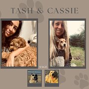 House Sitter - Reliable, Present & Nurturing