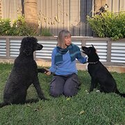 House Sitter - Heidi - Reliable, dedicated house sitter