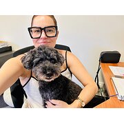 House Sitter - Caitlin