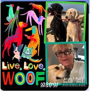 House Sitter - House & Pet Sitter “Extraordinaire”