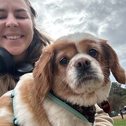 House Sitter - Friendly & Trustworthy Petsitter