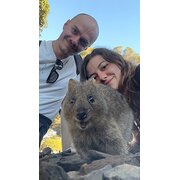 House Sitter - Reliable Animal-Loving Couple 