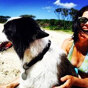 House Sitter - Mature responsible animal loving woman