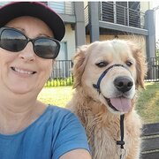 House Sitter - Nurse Cathy - kind and caring pet sitter