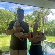 House Sitter - Tegan and Mark