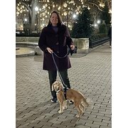 House Sitter - We Respect Your Home and Pets As You Do