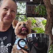 House Sitter - Non smoker, works from home via the Net