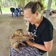 House Sitter - Non smoker, works from home