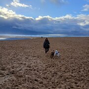 House Sitter - Perfect Places for Pups