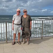 House Sitter - Wanderers