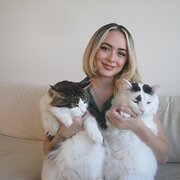 House Sitter - Loving Foster Carer Turned Sitter