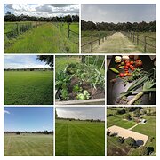 House Sitter - PROPERTY AND ANIMAL CARE SERVICE