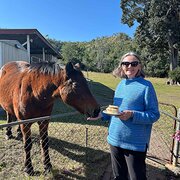 House Sitter - Newly retired teachers enjoying freedom!